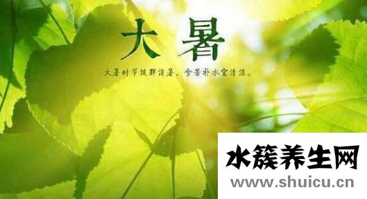 2019大暑几天 2019大暑养生吃什么好