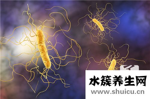 银离子的作用