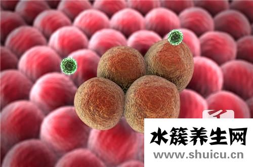 巨细胞病毒igg抗体
