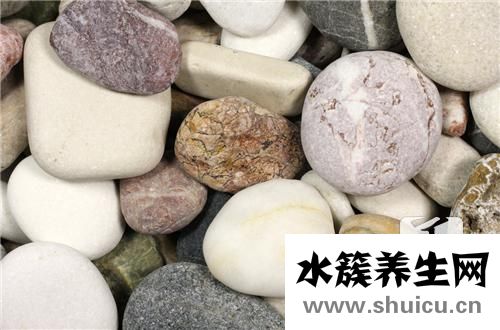 紫云母