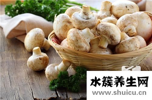虎乳菌