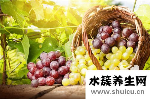 玫瑰葡萄