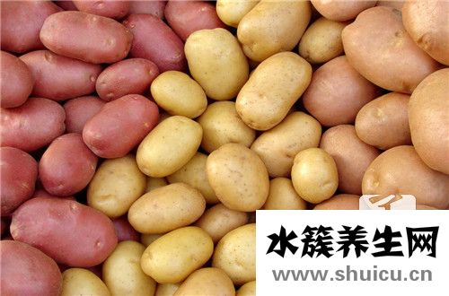 凉薯的功效与作用禁忌