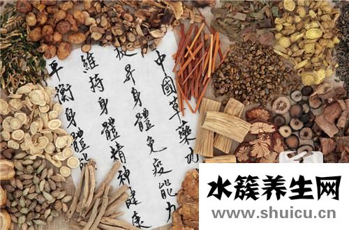 北芪与黄芪的区别