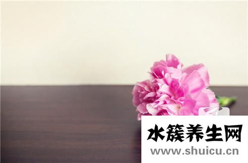 公丁香的功效与作用