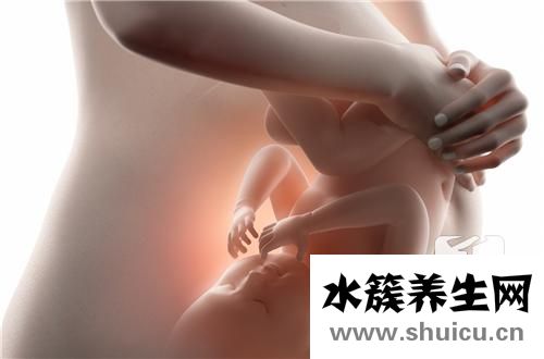 肾盂分离是什么意思