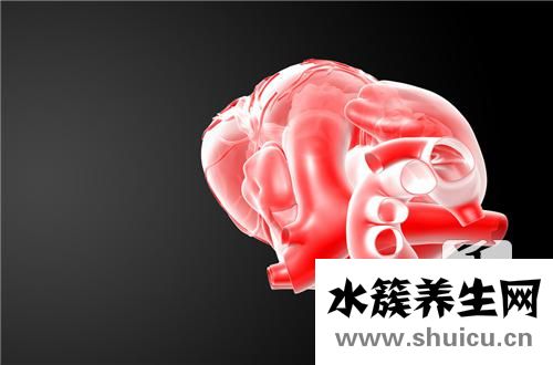 脐动脉