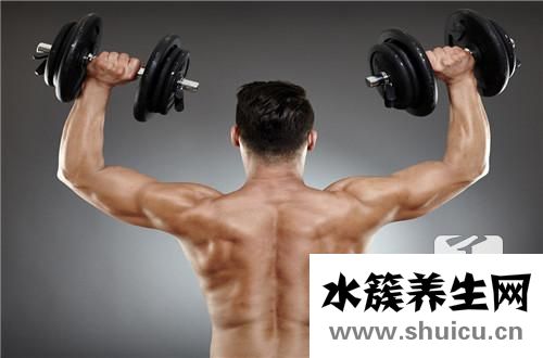 肌肉生长的秘密