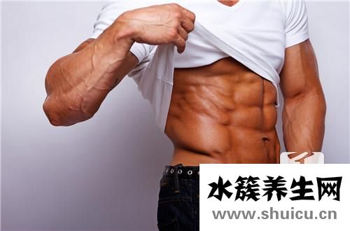 肌肉生长的秘密