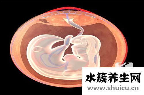 胎盘前壁和后壁的区别
