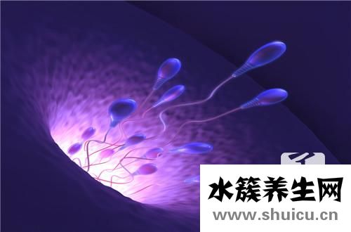 输卵管造影检查步骤