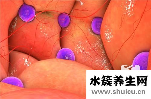 子宫壁厚