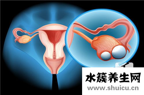 卵巢囊肿是怎么形成的