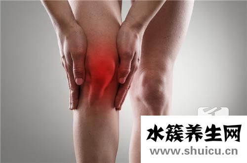 抗环瓜氨酸肽抗体