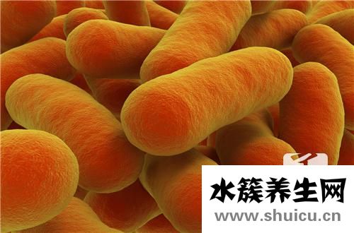幽门螺旋杆菌超标