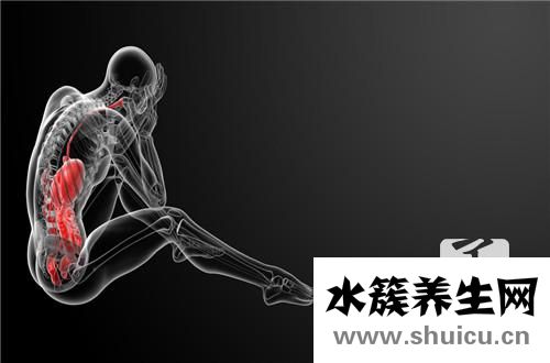 脾虚痰湿