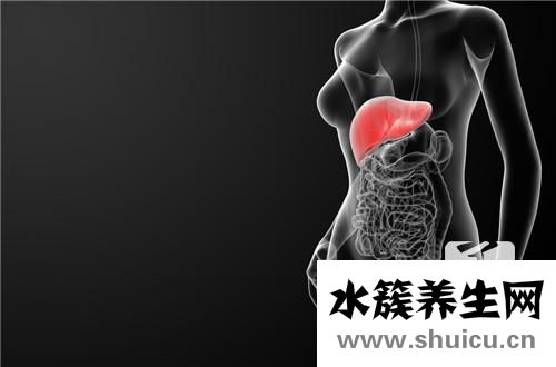 胆囊管