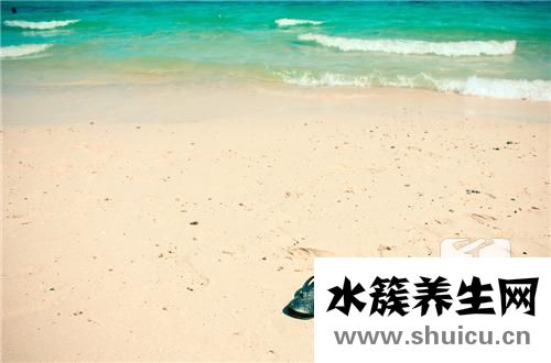 小白鞋怎么洗