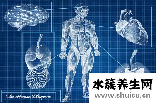 电子结肠镜