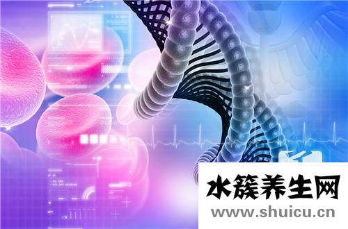 胸腺嘧啶