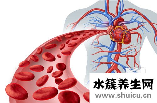 主动脉钙化是什么意思