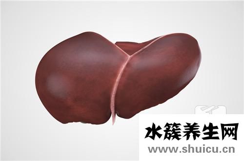 吃什么对肝脏好