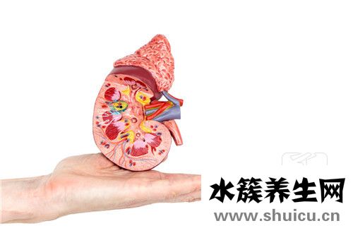 肾小球肾炎症状