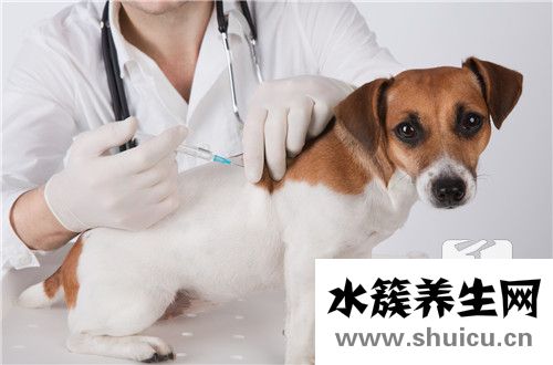 狂犬病的主要表现
