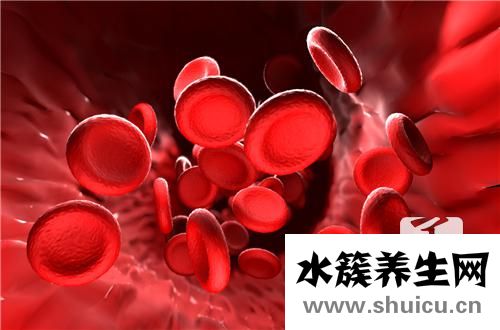 白细胞偏高是什么意思