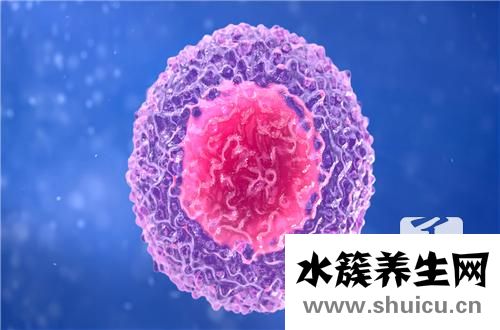 白细胞偏高是什么意思