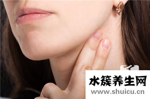 颈部血管彩超