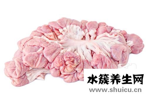 苦肠