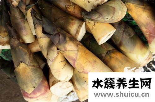 干竹笋怎么泡发