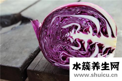 甘蓝和包菜的区别