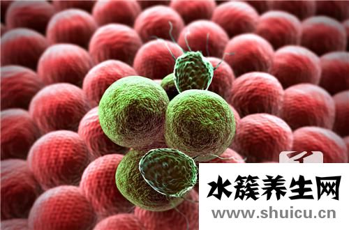 结肠管状腺瘤