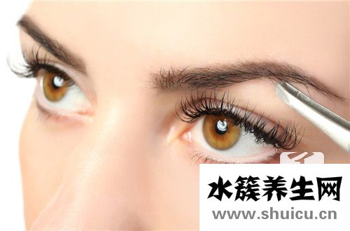 丝雾眉和粉黛眉的区别？
