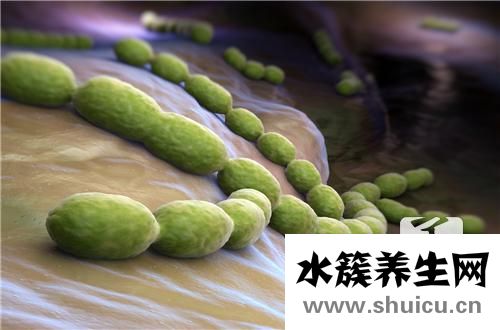 虎眼石的功效与作用