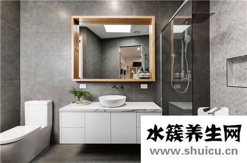卫生间放什么植物最好