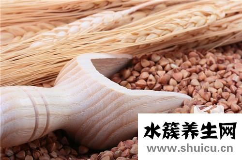 黄苦荞