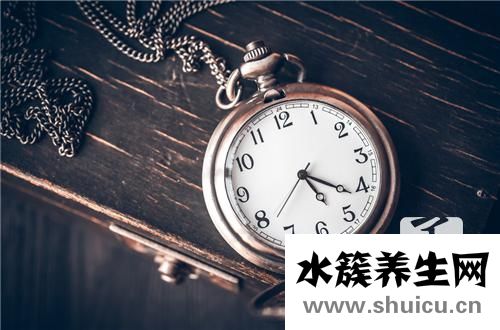 手表皮带
