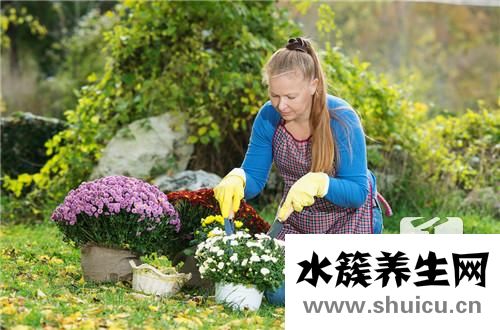 鲜花保存