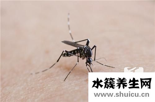 电蚊香液