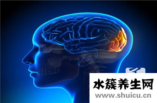 颈枕
