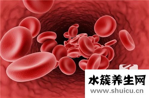 血小板低的症状