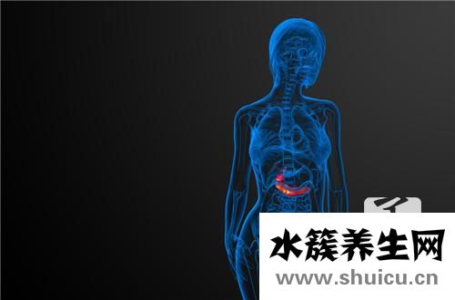 胆囊位置