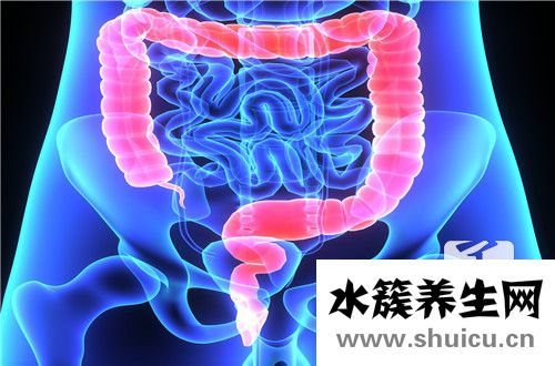 肠镜检查前注意事项