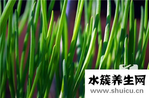 绿色蔬菜有哪些