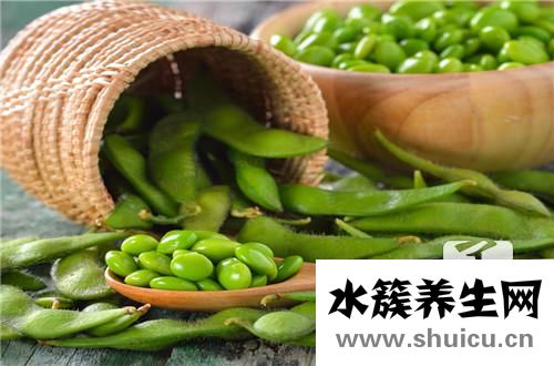 毛豆热量