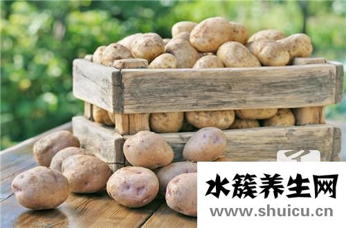 尖椒土豆丝