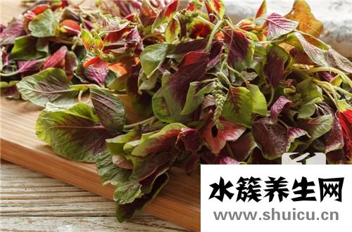 白苋菜
